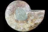 Agatized Ammonite Fossil (Half) - Madagascar #83786-1